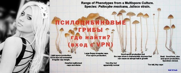 шишки Балабаново