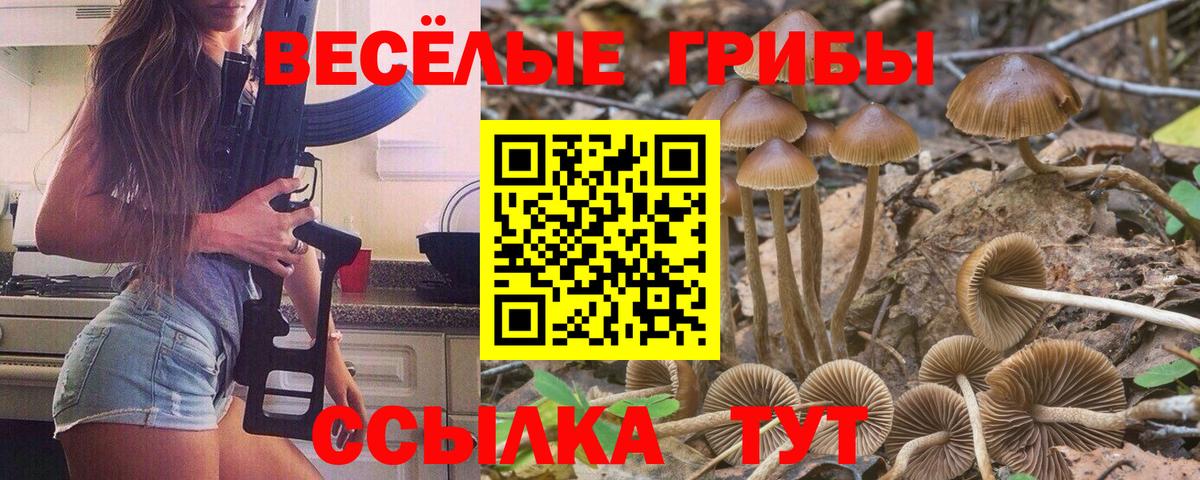 Псилоцибиновые грибы GOLDEN TEACHER Йошкар-Ола