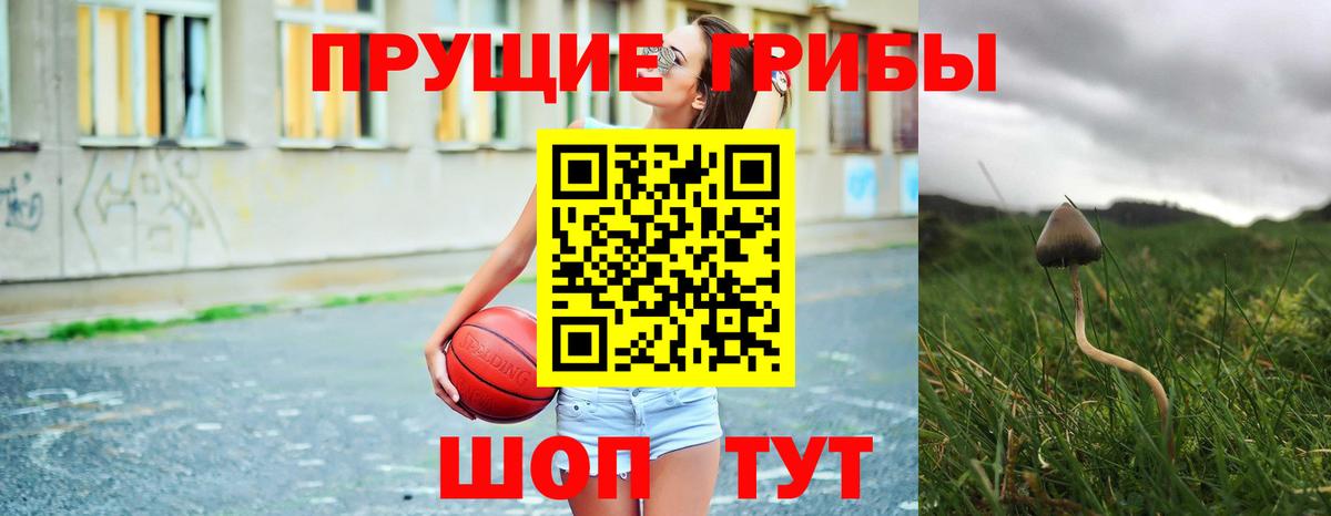 Псилоцибиновые грибы MAGIC MUSHROOMS  где купить наркотик  Йошкар-Ола 